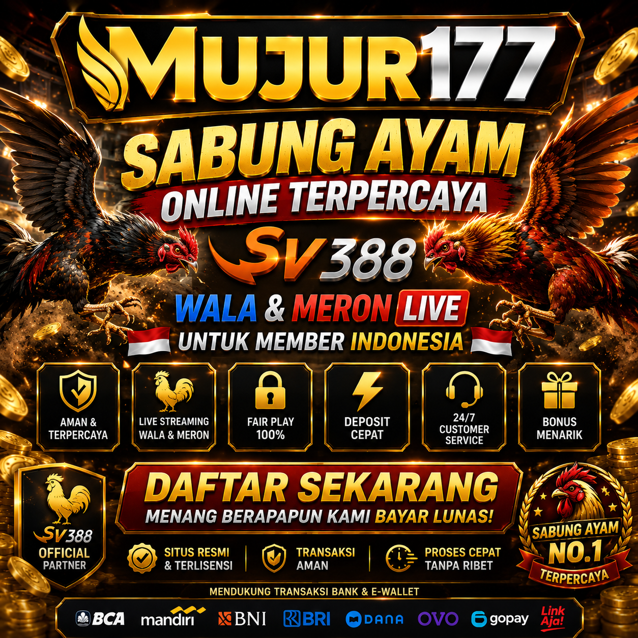 mujur177-sabung-ayam-online-sv388-wala-meron-indonesia